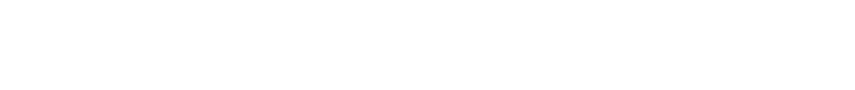 North South Tech Group